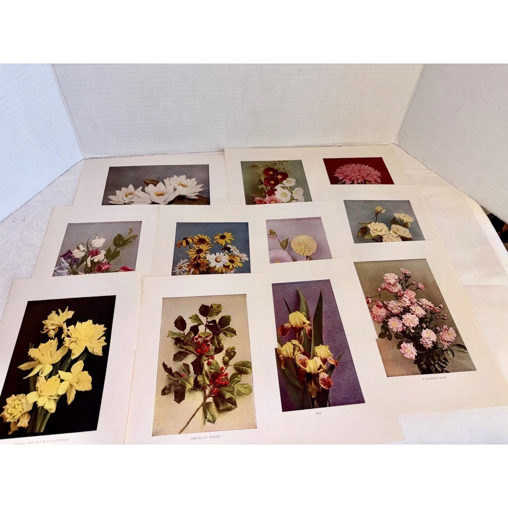 Vintage Botanical Art Print Collection
